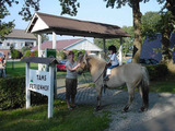 Ferienkinder hoch zu Ross